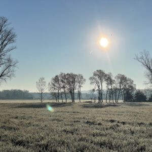 Heute